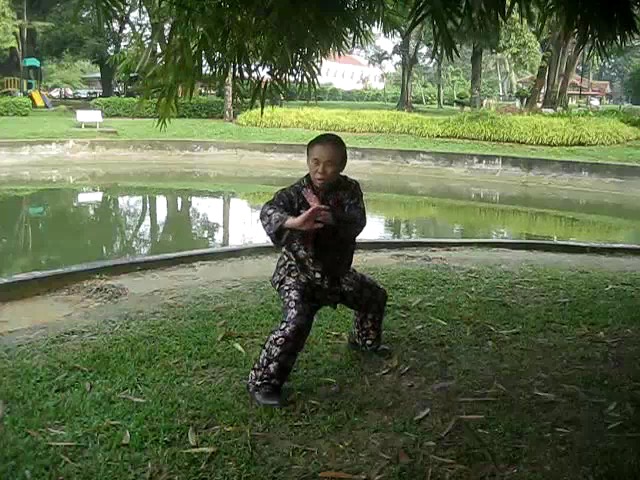 Shaolin 72 Chin-Na Techniques 2015